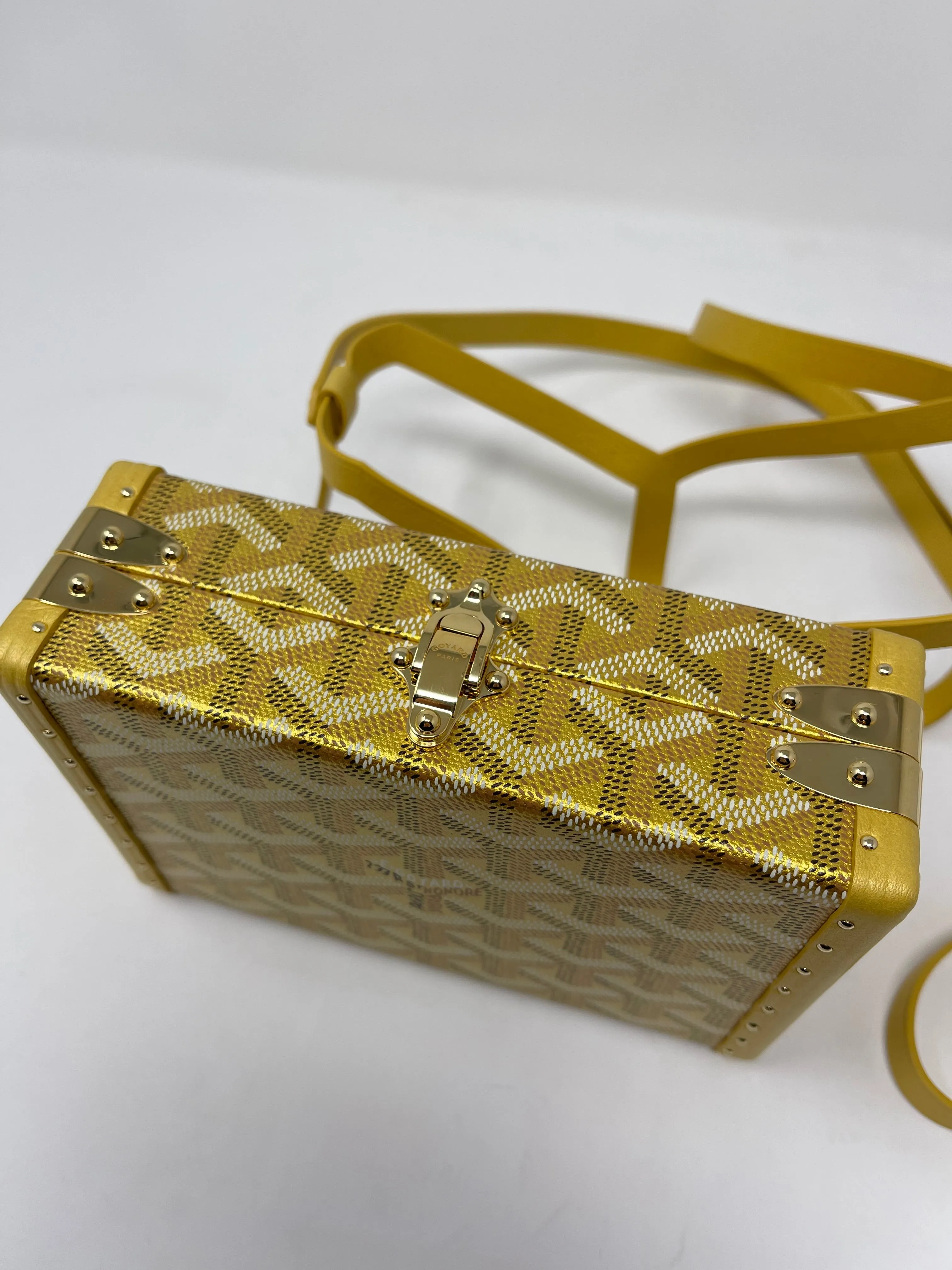 Minaudiere Trunk Bag