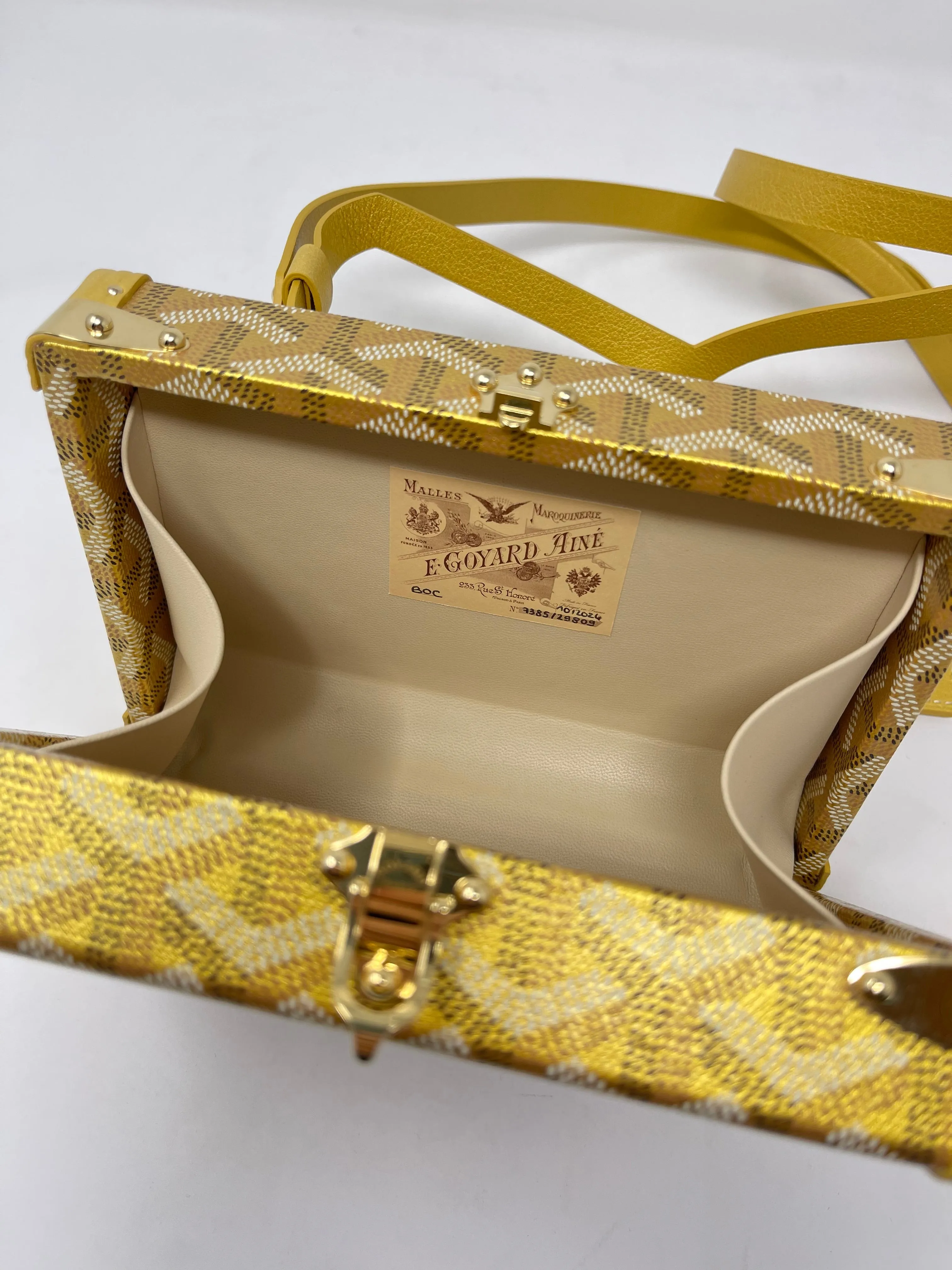 Minaudiere Trunk Bag