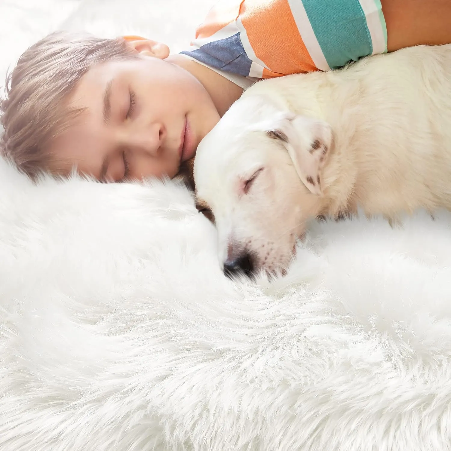 Noahas 3 x 5 White Faux Sheepskin Rug,Luxury Fluffy Faux Fur Rugs for Bedroom,Washable Area Rugs,Bedroom Rug,Furry Carpet Shag Rug,Soft Throw Rugs for Living Room Decor