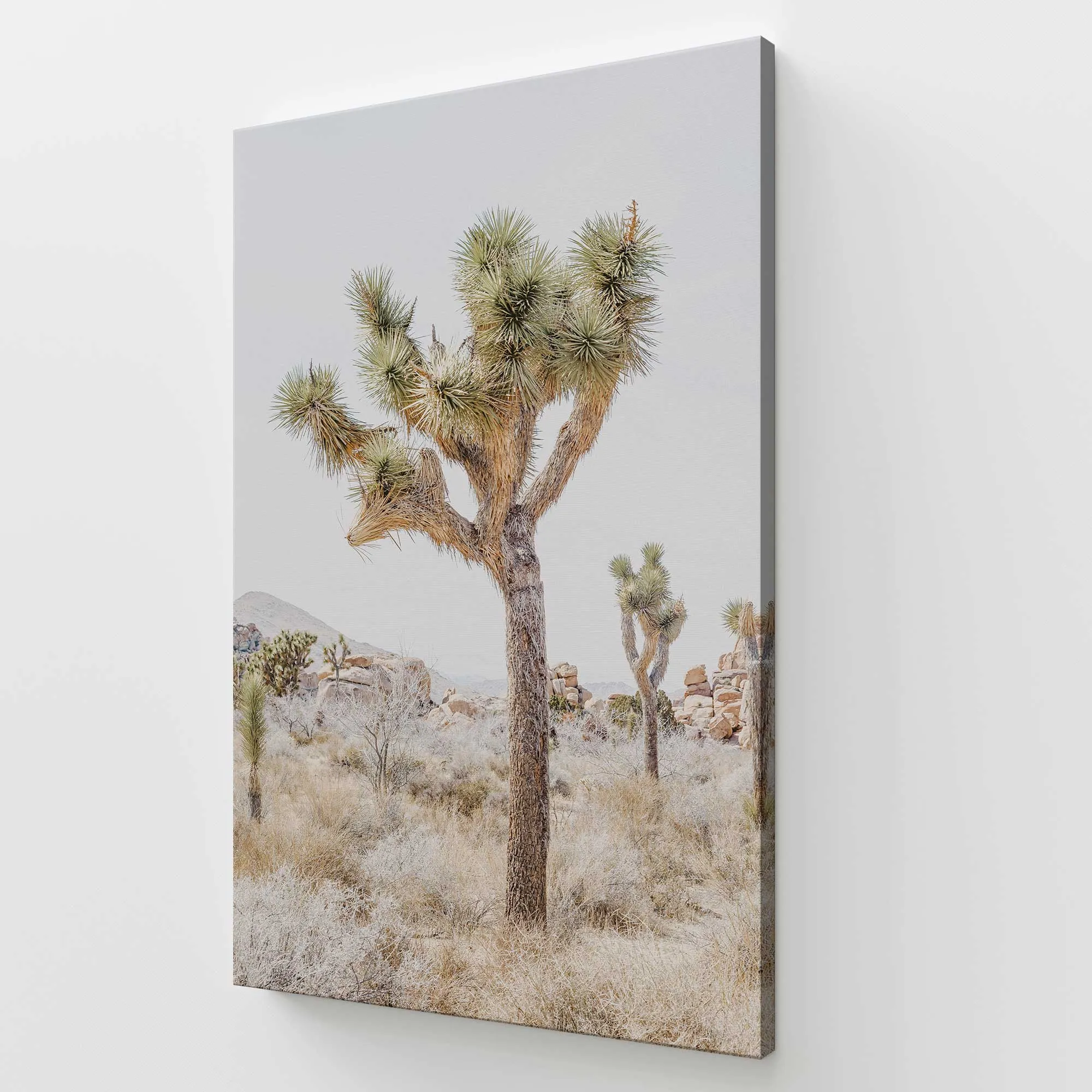 Oasis Rising Large Canvas Print