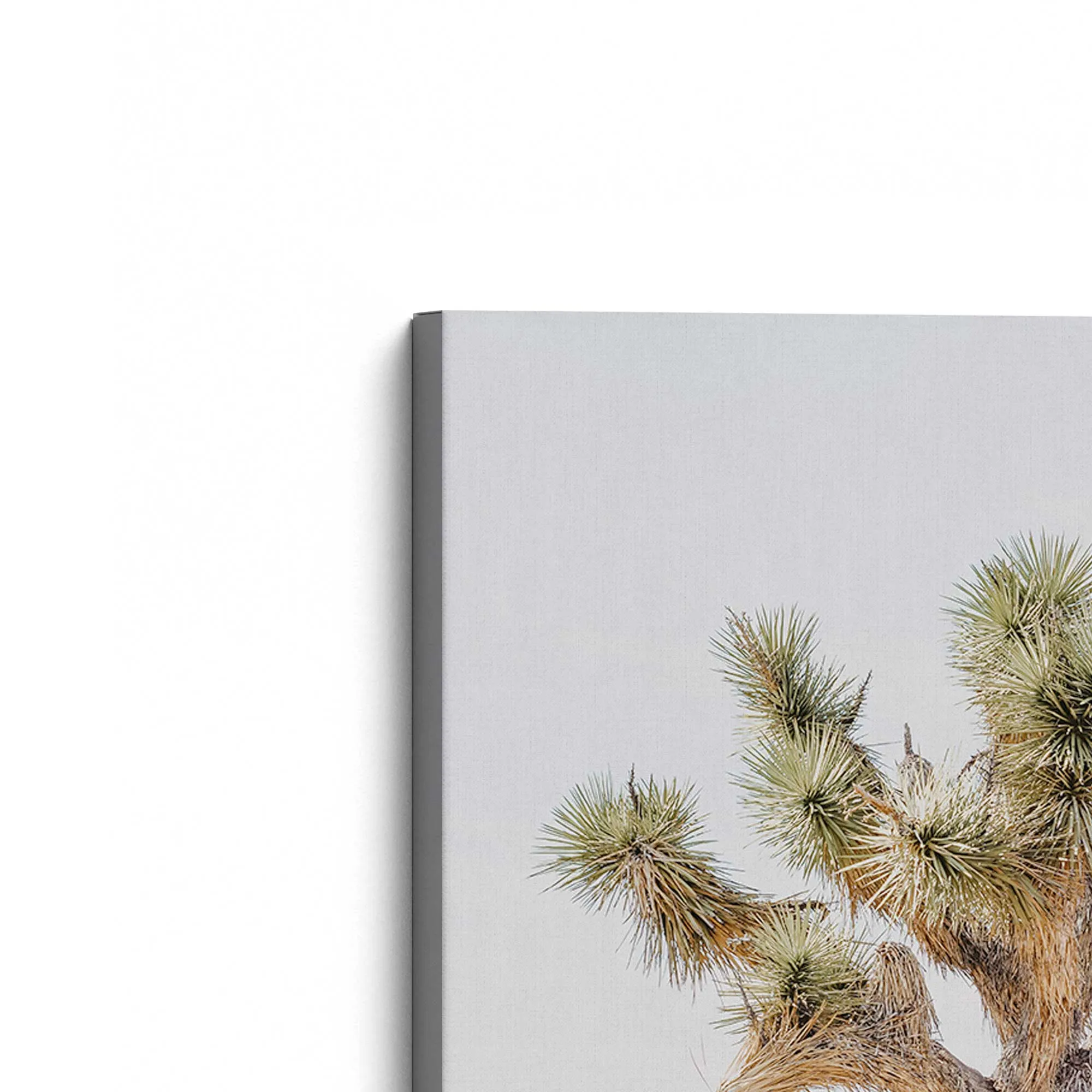 Oasis Rising Large Canvas Print