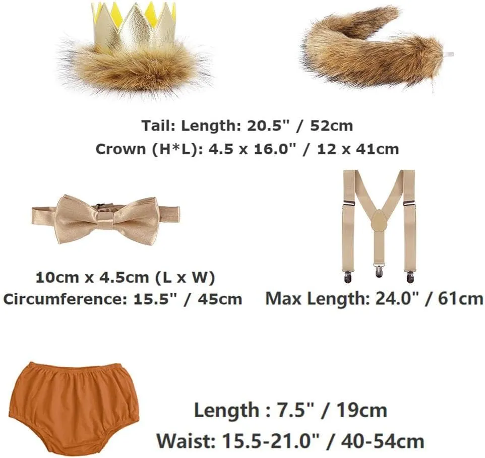 ODASDO Baby Boy 1st / 2nd Birthday Cake Smash Outfit Party Supplies Wild One Crown Plush Tail Bloomer Lion Costume Set