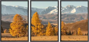 SIGNWIN Framed Canvas Print Wall Art Set Autumn Fall Mountain Forest Valley Rustic Nature Photography Realism Decorative Wilderness Calm/Zen for Living Room, Bedroom, Office - 24"x36"x3 Black