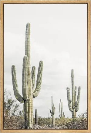 SIGNWIN Framed Canvas Print Wall Art Southwest Saguaro Cactus Succulent Desert Nature Wilderness Photography Realism Rustic Multicolor Relax/Calm for Living Room, Bedroom, Office - 24"x36" Natural