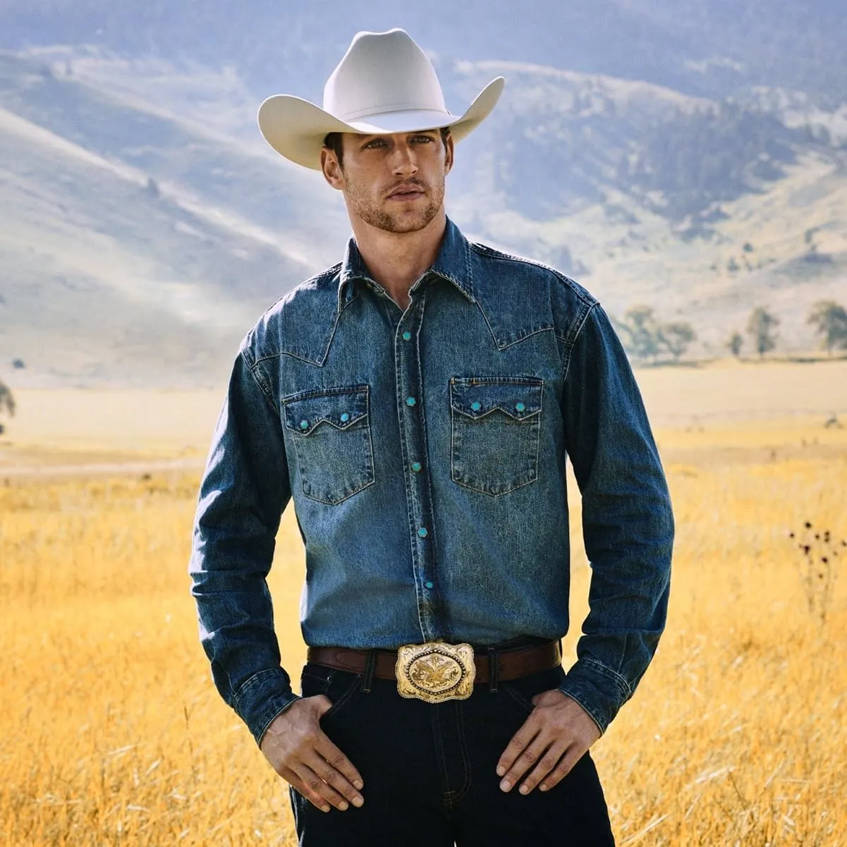 Stetson 7540 Skyline 6X Fur Cowboy Hat