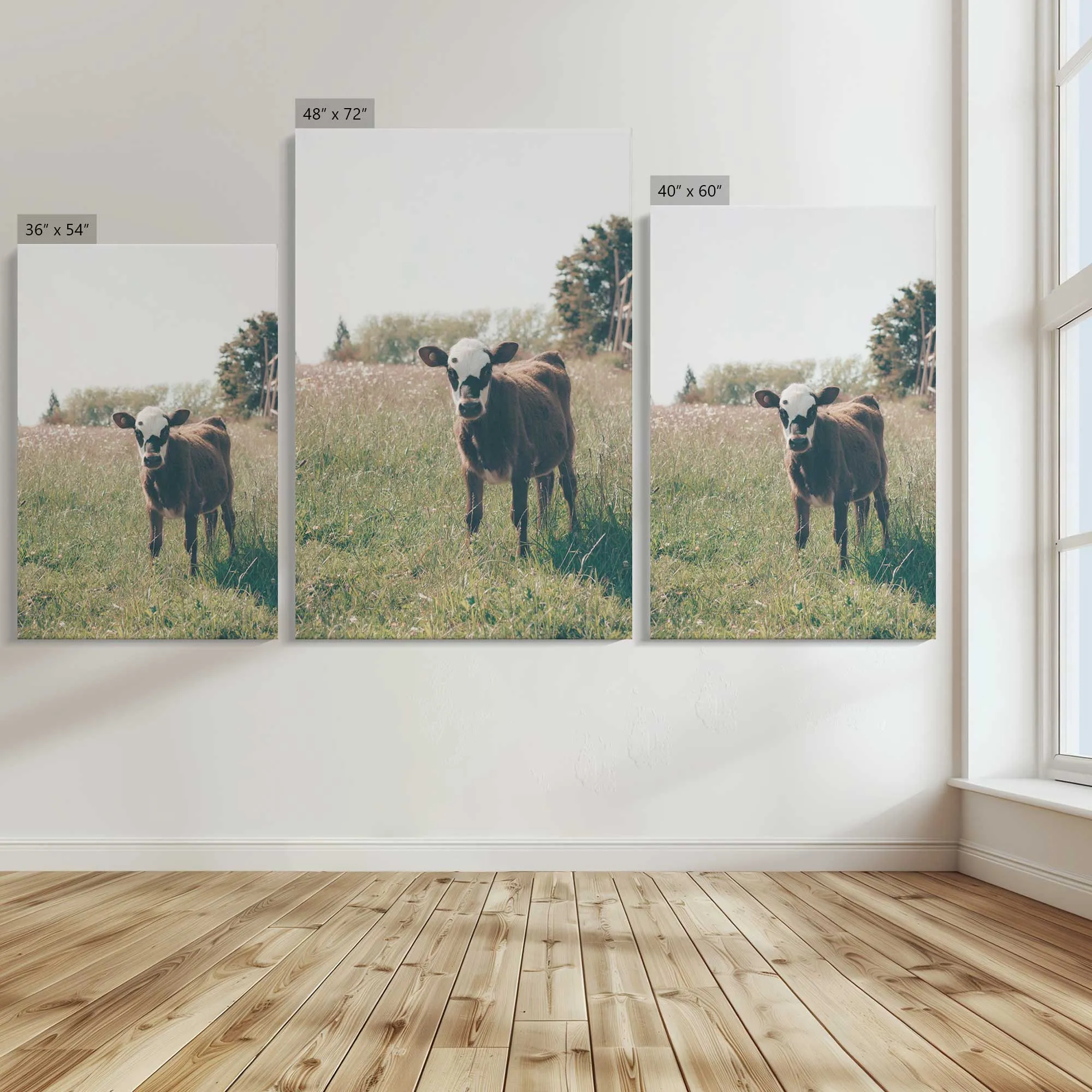 The Little Brown Wonder Large Canvas Print