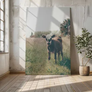 The Little Brown Wonder Large Canvas Print
