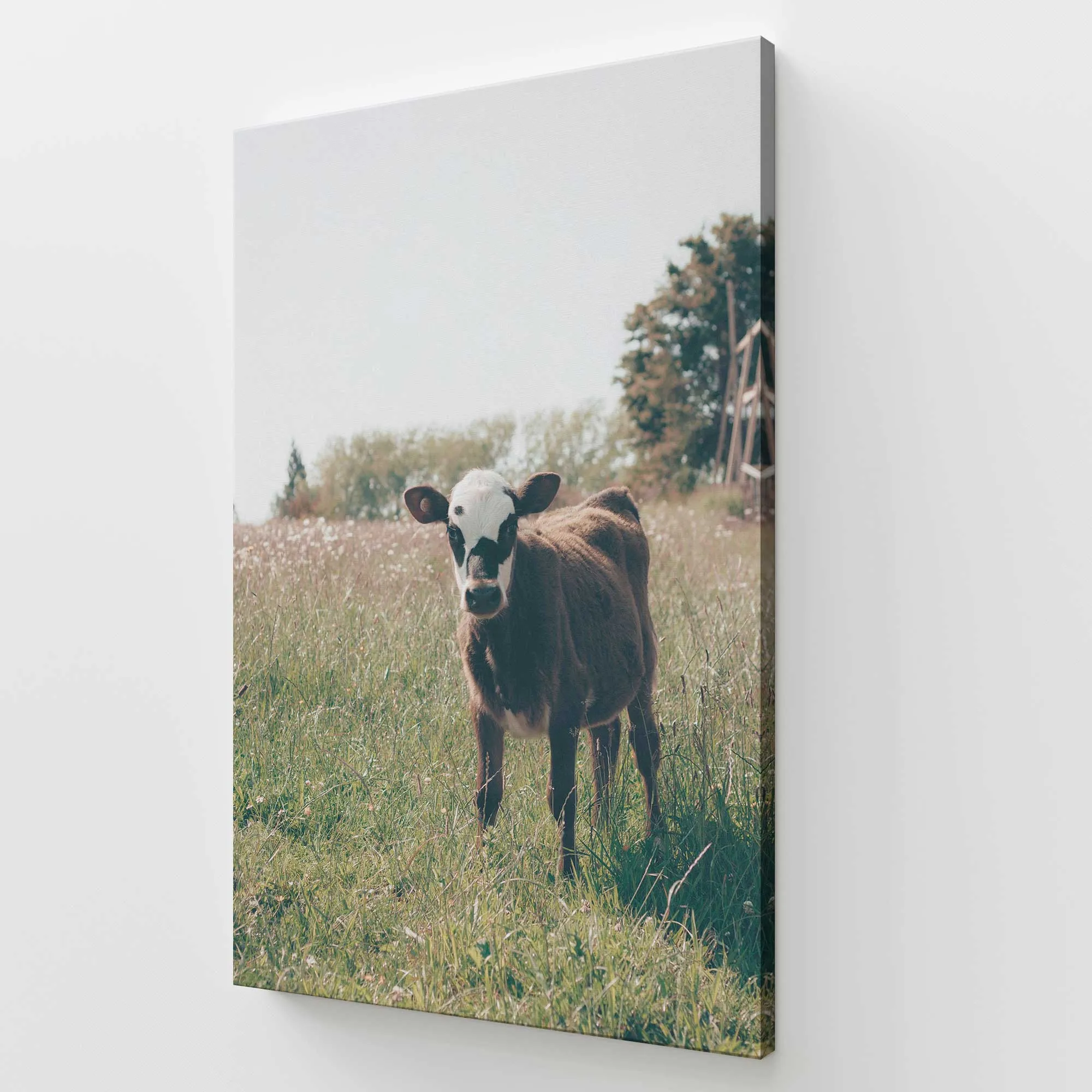 The Little Brown Wonder Large Canvas Print