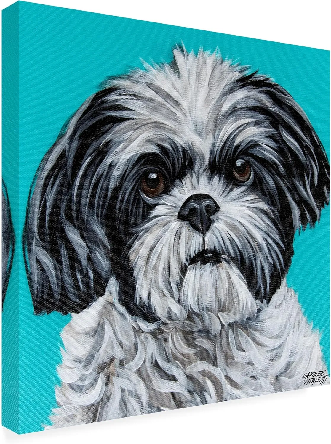 Trademark Fine Art Canvas Wall Art - Carolee Vitaletti 'Black and White Shih Tzu' Wall Art for Living Room, Bedroom, or Office Décor