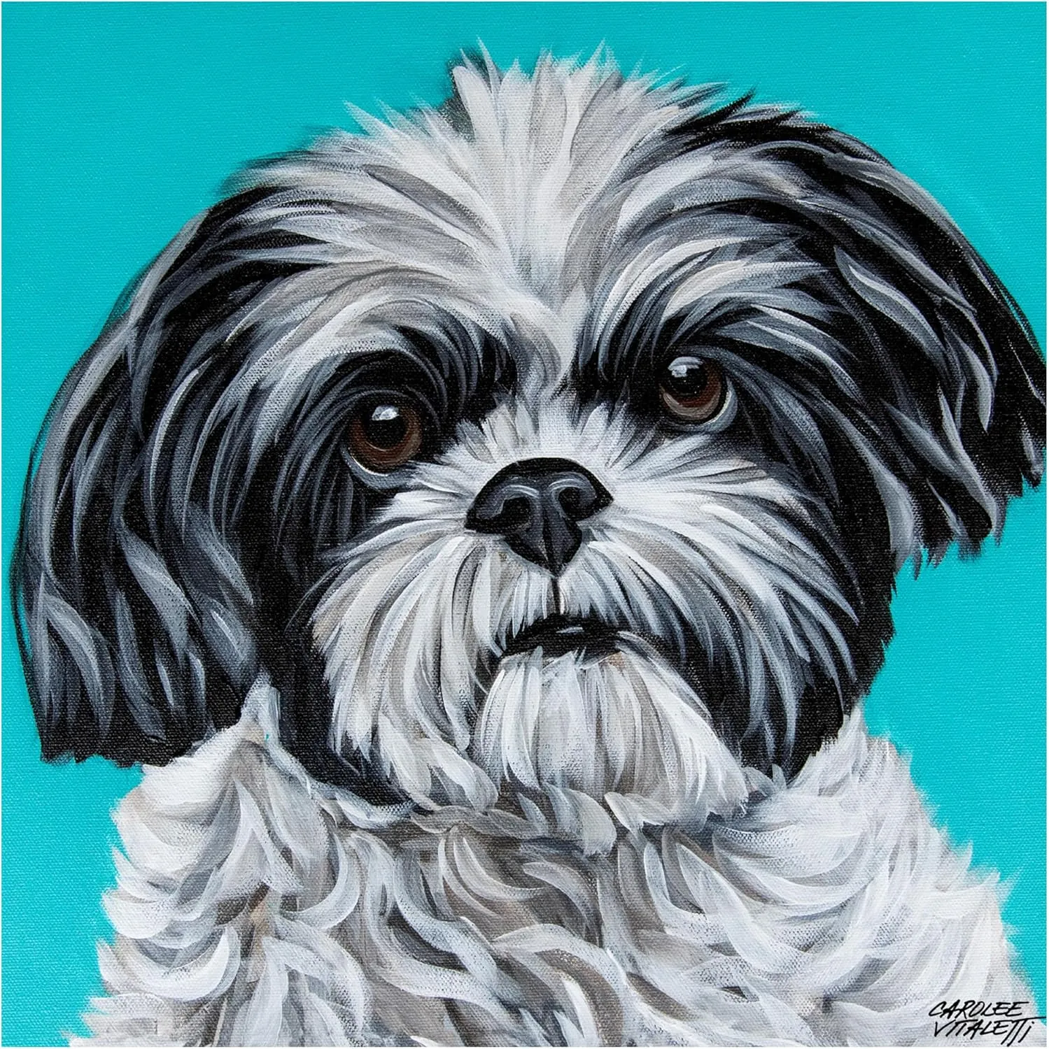 Trademark Fine Art Canvas Wall Art - Carolee Vitaletti 'Black and White Shih Tzu' Wall Art for Living Room, Bedroom, or Office Décor
