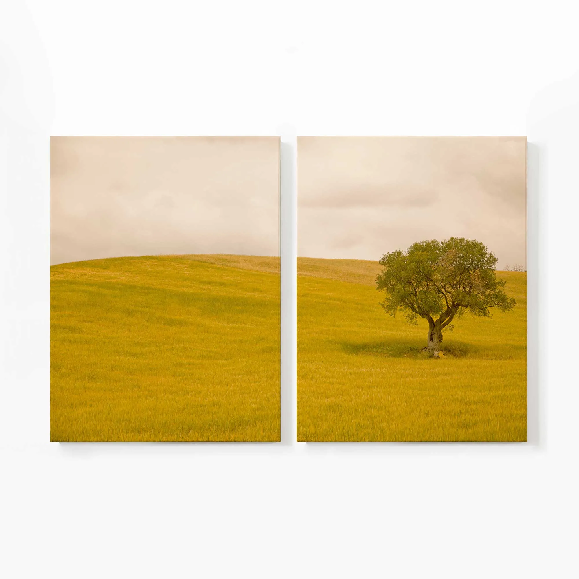 Tuscan Fields' Charm Large Canvas Print