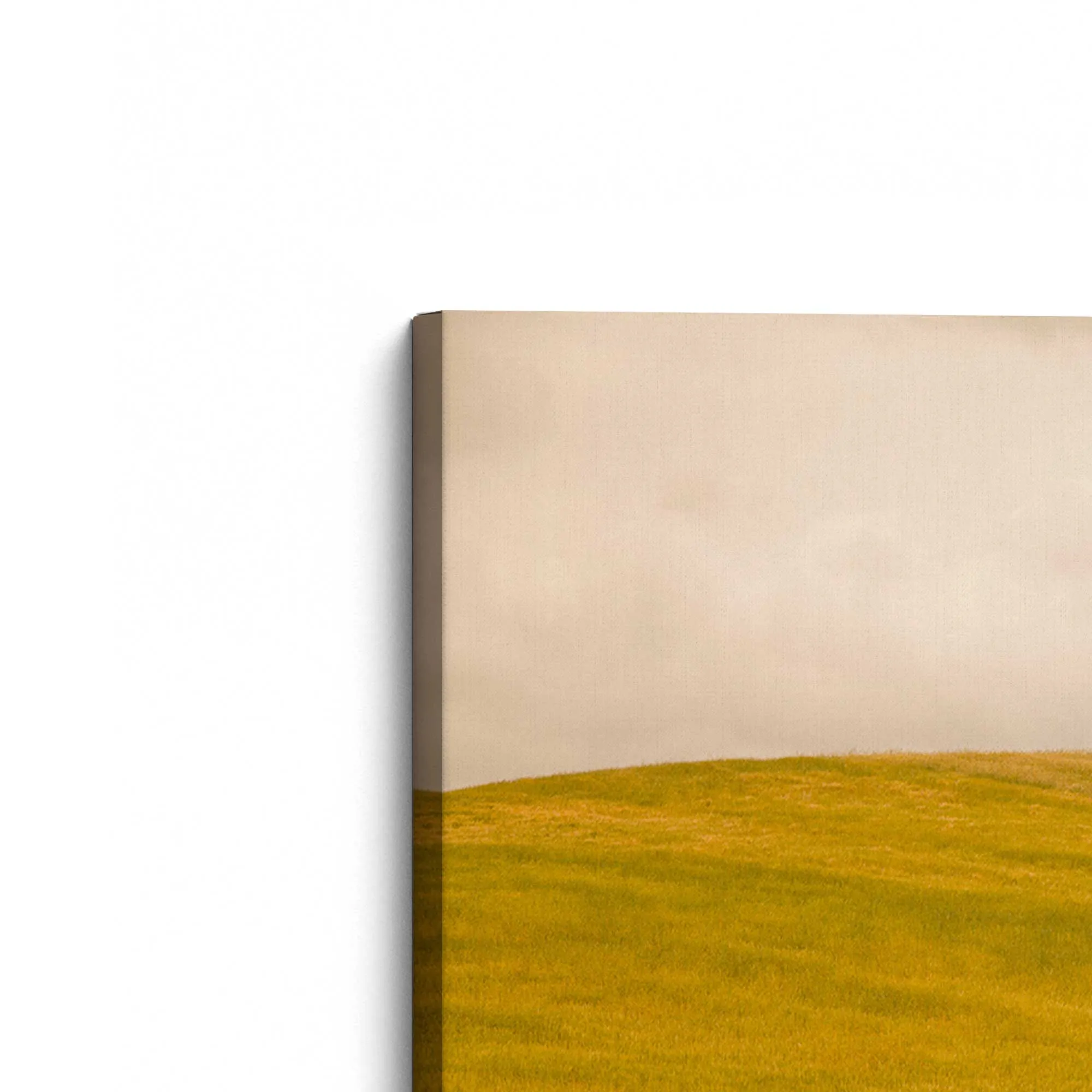 Tuscan Fields' Charm Large Canvas Print