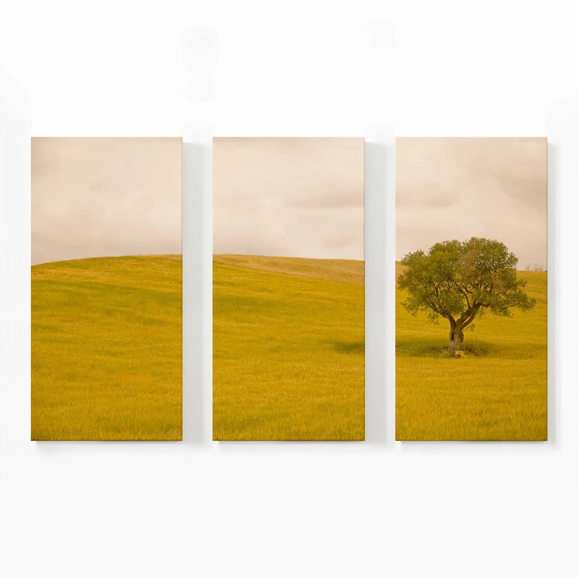 Tuscan Fields' Charm Large Canvas Print