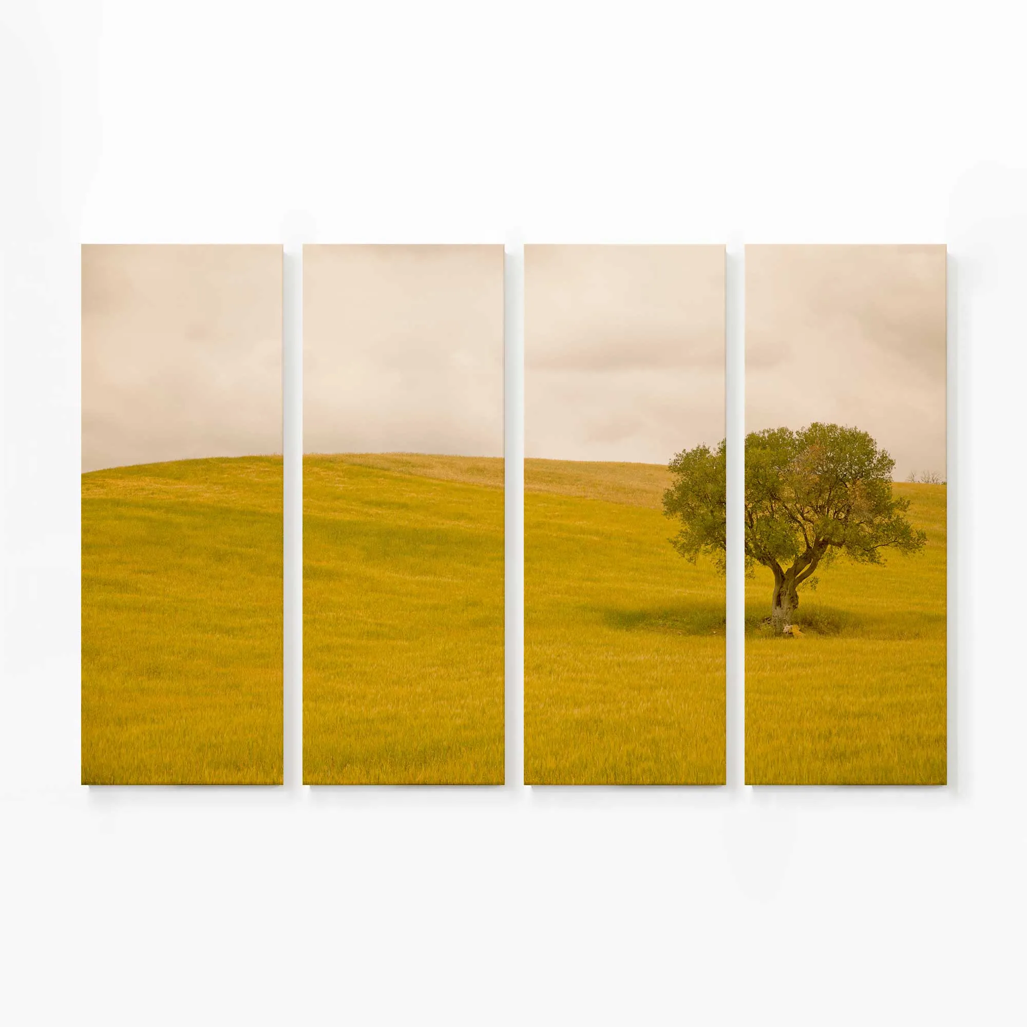 Tuscan Fields' Charm Large Canvas Print