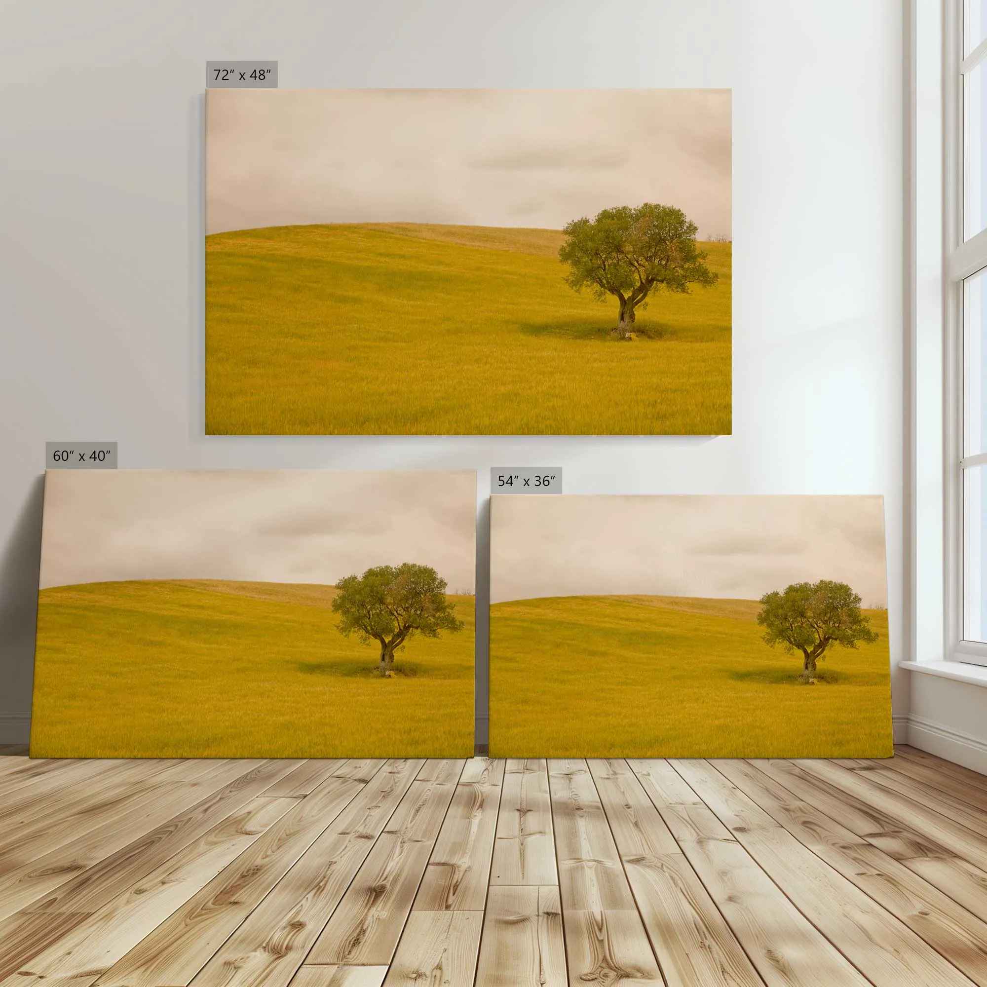 Tuscan Fields' Charm Large Canvas Print