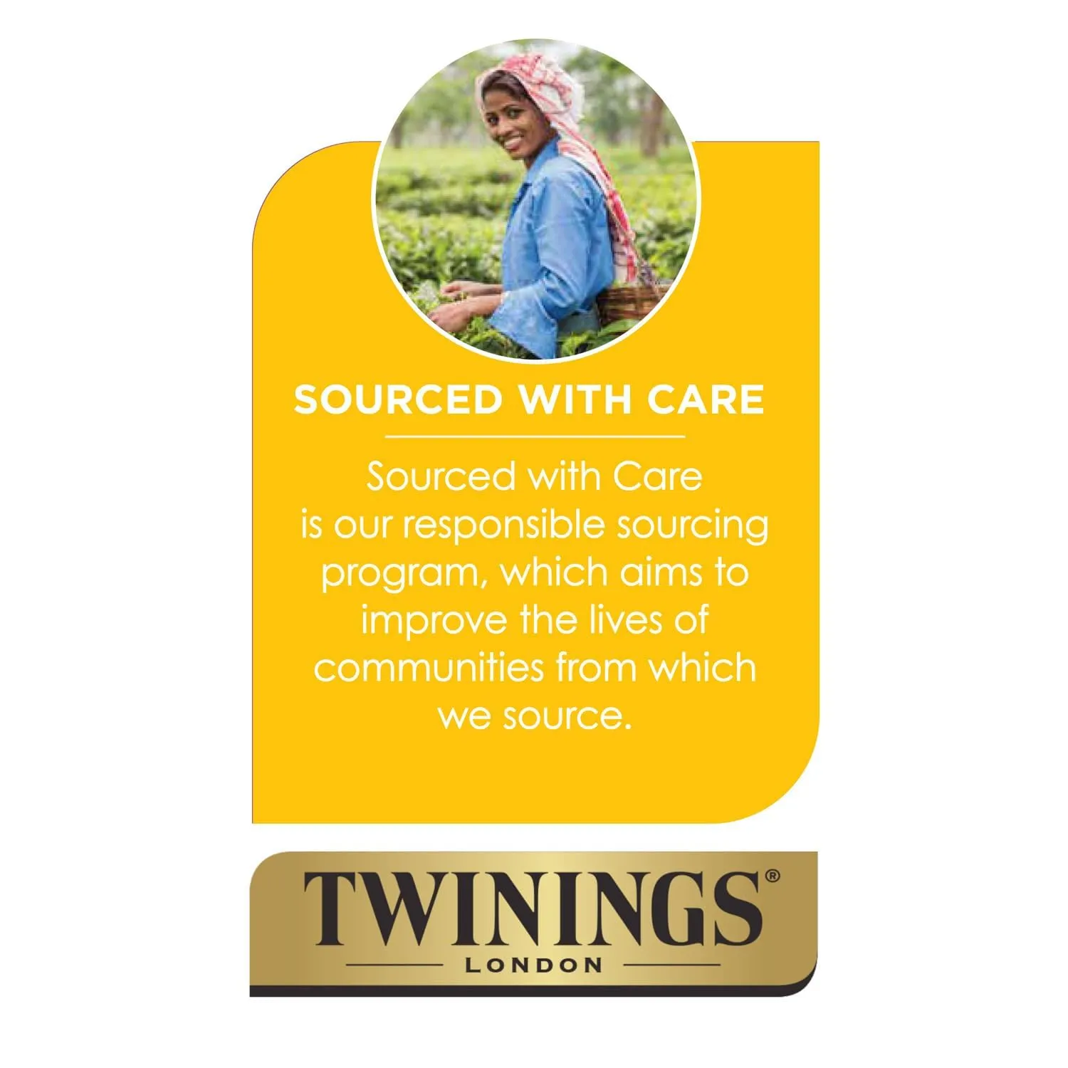 Twinings English Breakfast Individually Wrapped Tea Bags, 50 Count (Pack of 2), Flavorful, Robust Caffeinated Black Tea, Enjoy Hot or Iced
