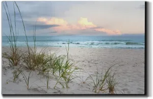 Wexford Home Landscape Wall Art Gallery Wrapped Canvas Ocean Beach Animal Picture Modern Artwork Decoration for Living Room Kitchen Bathroom Office, Ready to Hang, beach driftwood, 32x48