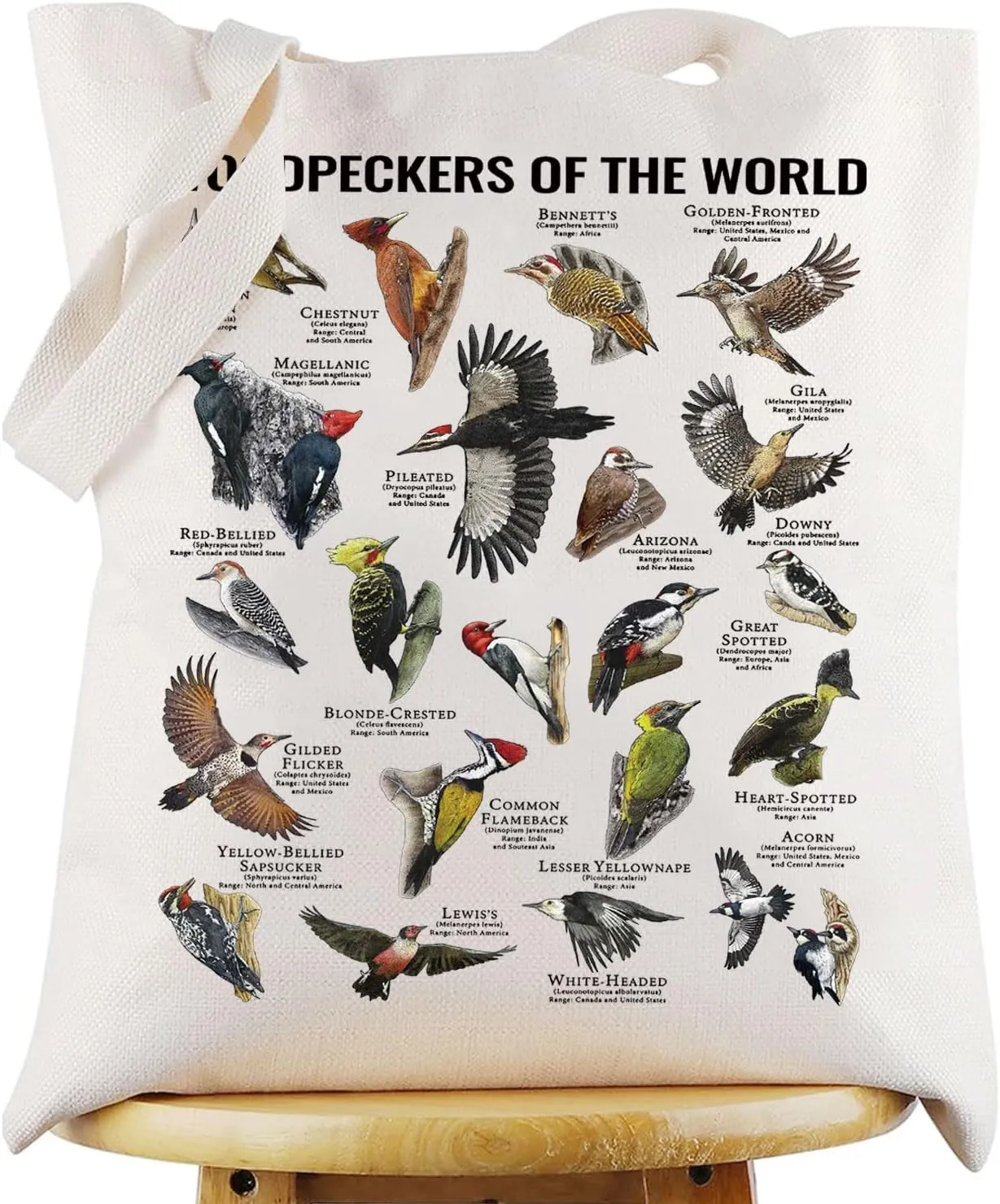 WZMPA Woodpecker Tote Bag Woodpecker Gift Woodpeckers Woodpecker Reusable Grocery Bag Woodpecker Species Merchandise